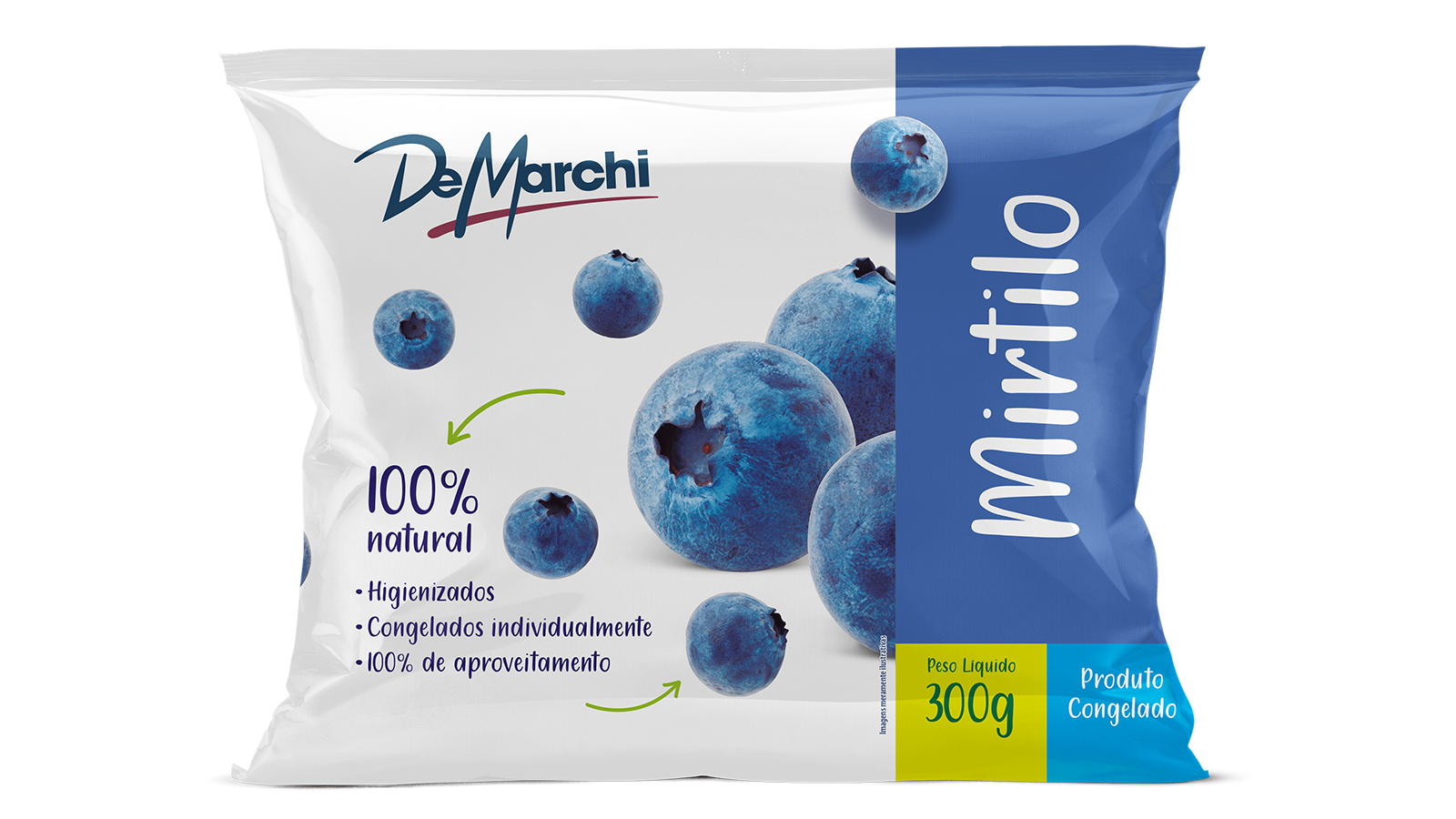 Mirtilo Congelado DM 300G 20 PCT CX 6KG